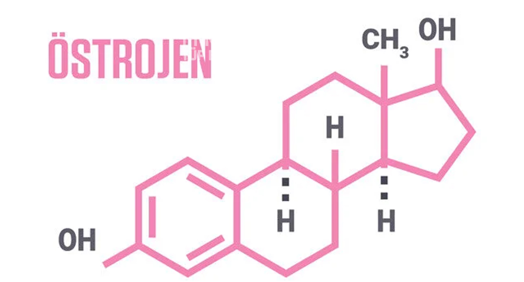 Östrojen Hormonu