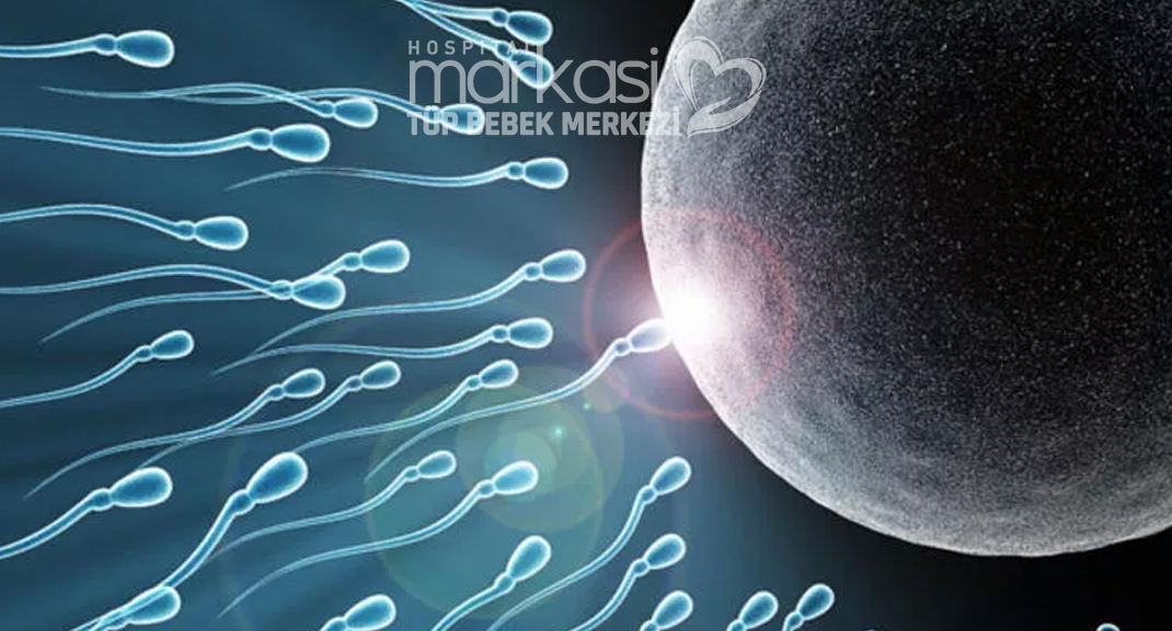Sperm Dengeleme